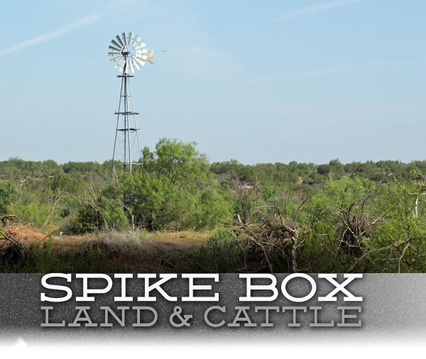 Spike Box Windmill & Logo