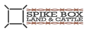 Spike Box logo